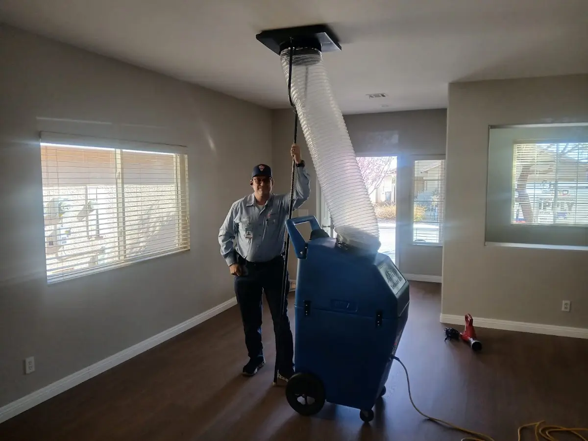 Professional Dryer Vent Cleaning work inside a Easton home